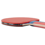 Paleta Joola Rossi Jr Pro