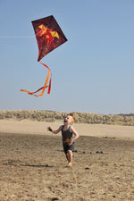 Zmeu DragonFly â€¢ Dragon â€¢