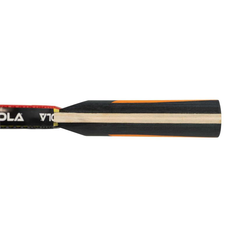 Paleta Joola Carbon Control