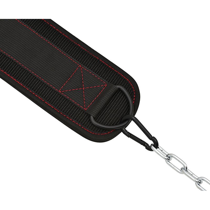 CenturÄƒ pentru ridicarea greutÄƒÈ›ilor RDX Pro Dipping Belt 2