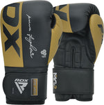 Manusi box sparring RDX F4