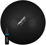 Minge fitnes/Gym ball + pompa, 65 cm