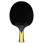 Paleta Joola Carbon Pro - expert - sport.ro