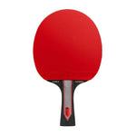Paleta Joola Red Carbon PRO