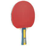 Paleta Joola Team Master - expert - sport.ro
