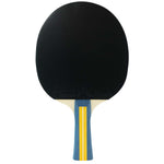Paleta Joola Team Master - expert - sport.ro