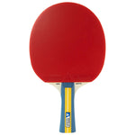 Paleta Joola Team Master - expert - sport.ro