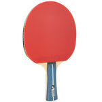 Paleta tenis Joola Premium