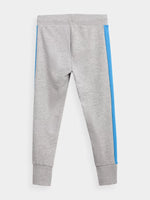 Pantaloni Trening Băieți 4F JSPMD003A – Bumbac Gri