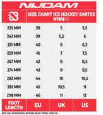 Patine hochey Nijdam Deluxe-Artic Rush