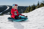 Sanie bob Gizmorrider Nimbus