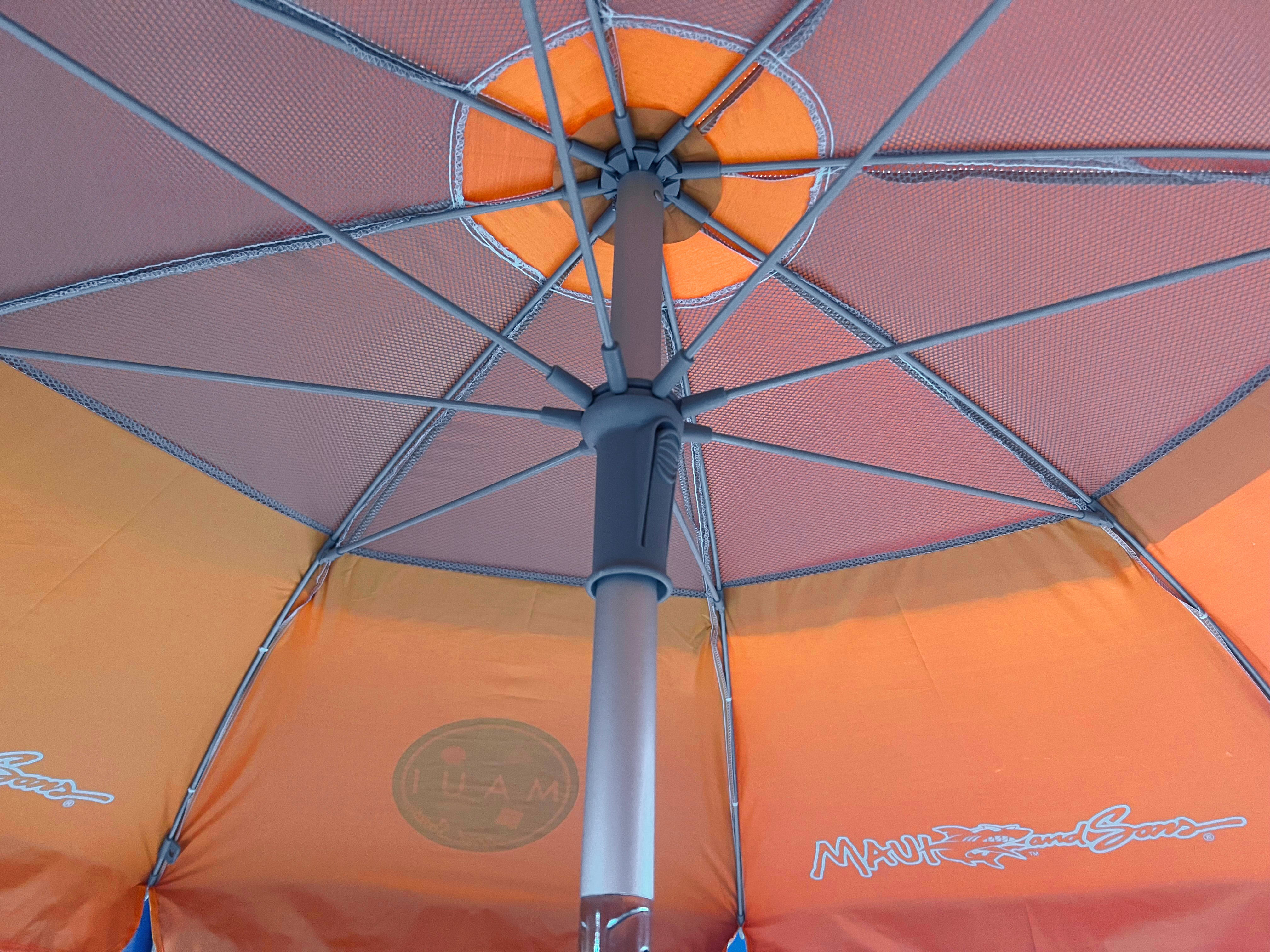 Text alternativ imagine